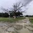  Terreno (Parcela) en venta en Liloan, Central Visayas, Liloan