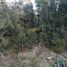  Land for sale in Chile, Puerto Montt, Llanquihue, Los Lagos, Chile