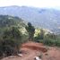  Land for sale in Itogon, Cordillera, Itogon