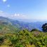  Land for sale in Indoparapeo, Michoacan, Indoparapeo