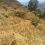  Land for sale in Indoparapeo, Michoacan, Indoparapeo
