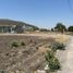  Land for sale in Tarimbaro, Michoacan, Tarimbaro