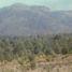  Land for sale in Zinapecuaro, Michoacan, Zinapecuaro