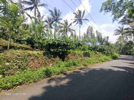  Terrain for sale in Pupuan, Tabanan, Pupuan