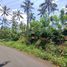  Grundstück zu verkaufen in Tabanan, Bali, Pupuan, Tabanan