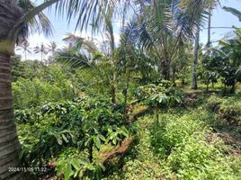  Grundstück zu verkaufen in Tabanan, Bali, Pupuan, Tabanan