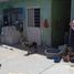  Grundstück zu verkaufen in Ecatepec De Morelos, Mexico, Ecatepec De Morelos