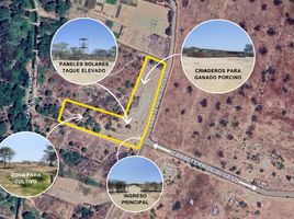  Land for sale in Castilla, Piura, Castilla, Piura, Piura