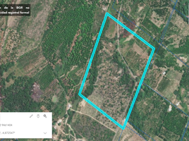  Land for sale in Las Lomas, Piura, Las Lomas