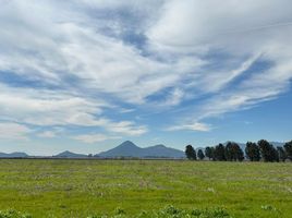  Land for sale in Chile, San Fernando, Colchagua, Libertador General Bernardo Ohiggins, Chile