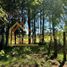  Terreno (Parcela) en venta en Los Ríos, Mafil, Valdivia, Los Ríos