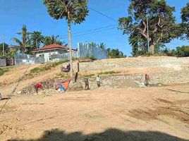  Land for sale in Argao, Cebu, Argao