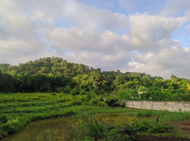  Terreno (Parcela) en venta en Baras, Calabarzon, Baras