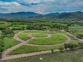  Land for sale in Dist Pochutla, Oaxaca, Dist Pochutla