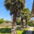 5 Bedroom House for sale in Chile, Colina, Chacabuco, Santiago, Chile