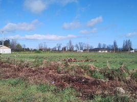  Terreno (Parcela) en venta en Maule, Curico, Curicó, Maule