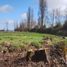  Terreno (Parcela) en venta en Maule, Curico, Curicó, Maule
