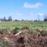  Terreno (Parcela) en venta en Maule, Curico, Curicó, Maule