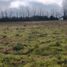  Terreno (Parcela) en venta en Maule, Curico, Curicó, Maule