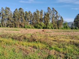  Terreno (Parcela) en venta en Chile, Chimbarongo, Colchagua, Libertador General Bernardo O'Higgins, Chile