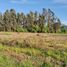  Land for sale in Chimbarongo, Libertador General Bernardo Ohiggins, Chimbarongo, Colchagua, Libertador General Bernardo Ohiggins