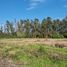  Terreno (Parcela) en venta en Chile, Chimbarongo, Colchagua, Libertador General Bernardo O'Higgins, Chile