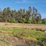  Terreno (Parcela) en venta en Chile, Chimbarongo, Colchagua, Libertador General Bernardo O'Higgins, Chile