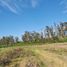  Terreno (Parcela) en venta en Chile, Chimbarongo, Colchagua, Libertador General Bernardo O'Higgins, Chile