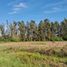  Terreno (Parcela) en venta en Chile, Chimbarongo, Colchagua, Libertador General Bernardo O'Higgins, Chile
