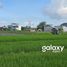  Terreno (Parcela) en venta en Kerobokan, Bali, Kerobokan, Badung