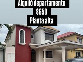  Condo for rent in Guayas, Guayaquil, Guayaquil, Guayas