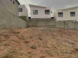  Terreno (Parcela) en venta en Daule, Guayas, Daule, Daule