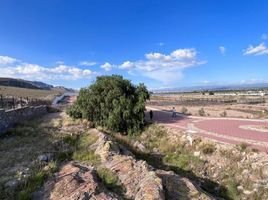 Terrain à vendre à Villa De Reyes, San Luis Potosi, Villa De Reyes