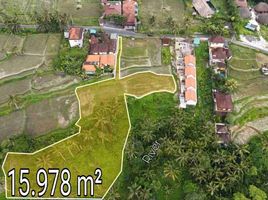  Terrain for sale in Gianyar, Bali, Tegallalang, Gianyar