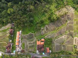  Grundstück zu verkaufen in Gianyar, Bali, Tegallalang