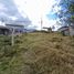  Land for sale in Azuay, Paccha, Cuenca, Azuay