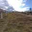  Land for sale in Azuay, Paccha, Cuenca, Azuay