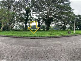  Grundstück zu verkaufen in Silang, Calabarzon, Silang