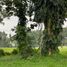  Grundstück zu verkaufen in Silang, Calabarzon, Silang