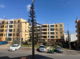 3 Habitación Apartamento en alquiler en Antofagasta, Antofagasta, Antofagasta, Antofagasta