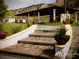  Land for sale in Zapopan, Jalisco, Zapopan, Jalisco