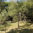  Land for sale in Zapopan, Jalisco, Zapopan, Jalisco