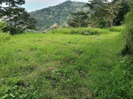  Terreno (Parcela) en venta en Girardota, Antioquia, Girardota