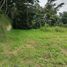  Land for sale in Girardota, Antioquia, Girardota