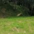  Land for sale in Girardota, Antioquia, Girardota