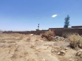 在Arequipa出售的 土地, Cerro Colorado, Arequipa, Arequipa