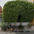 3 Schlafzimmer Haus zu verkaufen in Gustavo A Madero, Mexico City, Gustavo A Madero