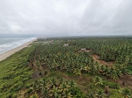  Terreno (Parcela) en venta en San Vicente, Manabi, San Vicente, San Vicente