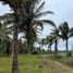  Land for sale in San Vicente, Manabi, San Vicente, San Vicente