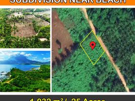  Land for sale in San Vicente, Palawan, San Vicente
